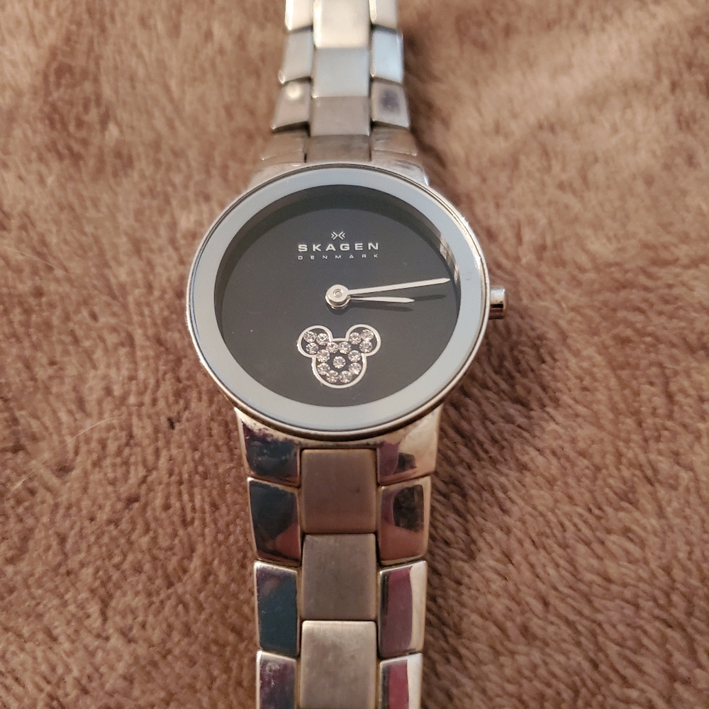 Skagen Silver and Black Wristwatch